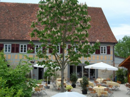 Фото: Der Hirschgarten